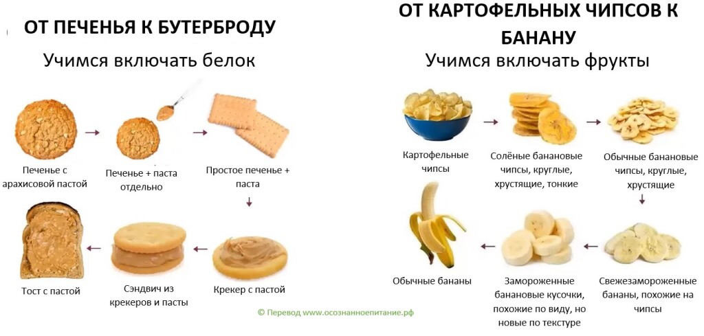 пищевая цепочка перевод русский